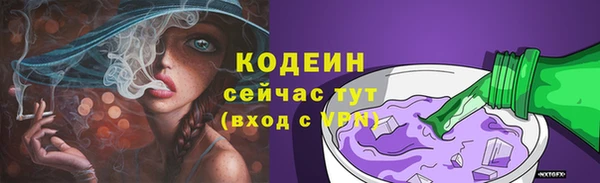 стафф Великий Новгород