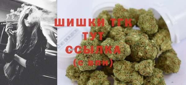 стафф Великий Новгород