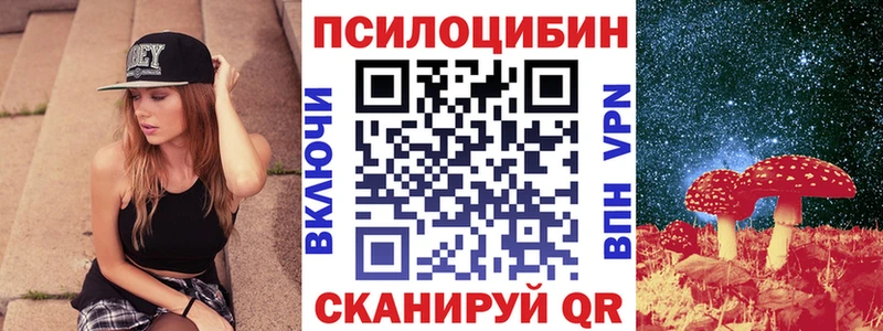 Псилоцибиновые грибы Psilocybe  купить наркотик  hydra вход  Венёв 